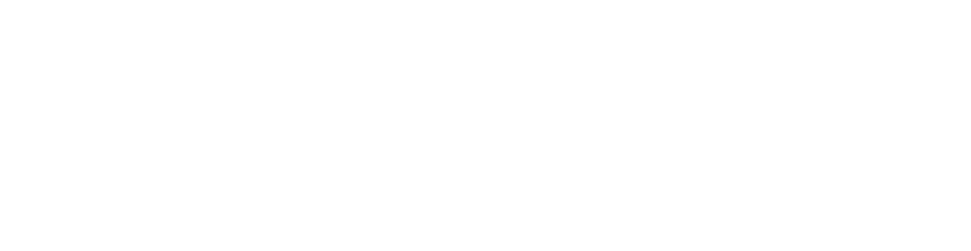 Dayplan